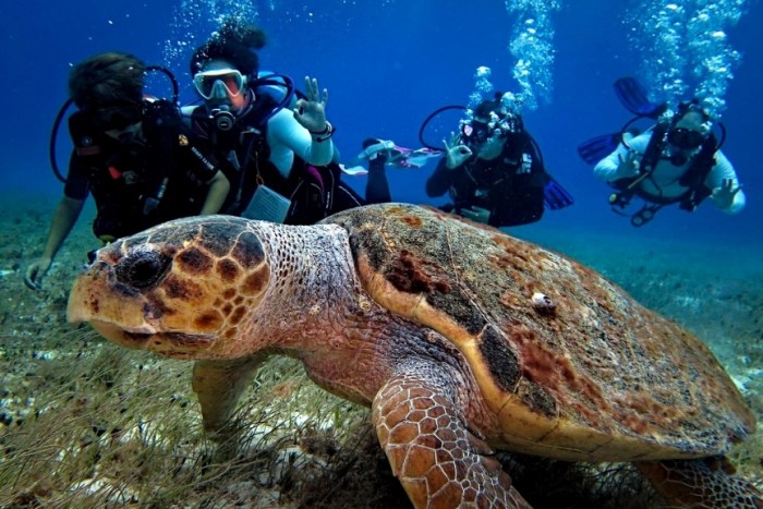 Scuba Diving in Mexico's Cozumel