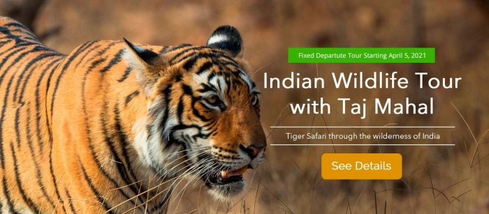 Unique Wildlife Tours in India