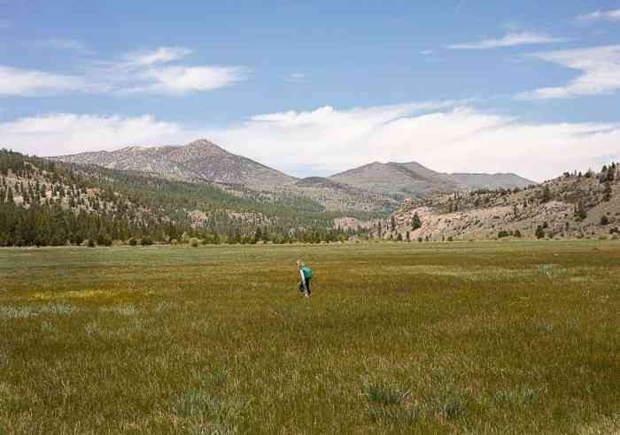 Illness Hiking Safety and First Aid Tips