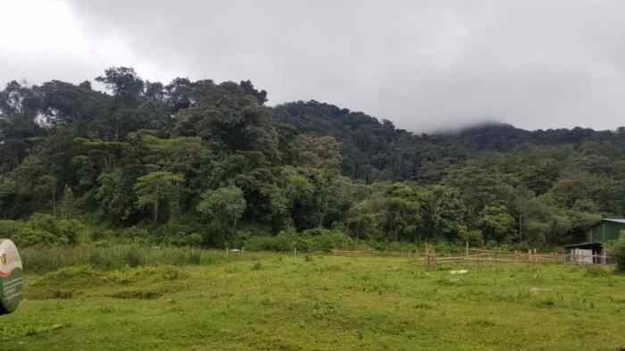 Off-the-Beaten-Path Safari and Wildlife Tours