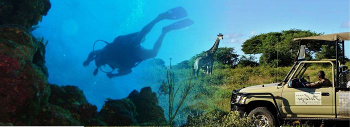 Dive Best Diving Safaris in Africa